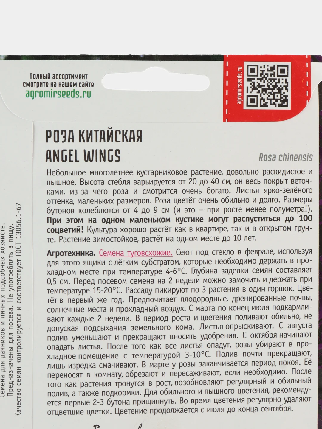 Роза китайская Angel Wings (семена,цветы)