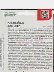 Роза китайская Angel Wings (семена,цветы)