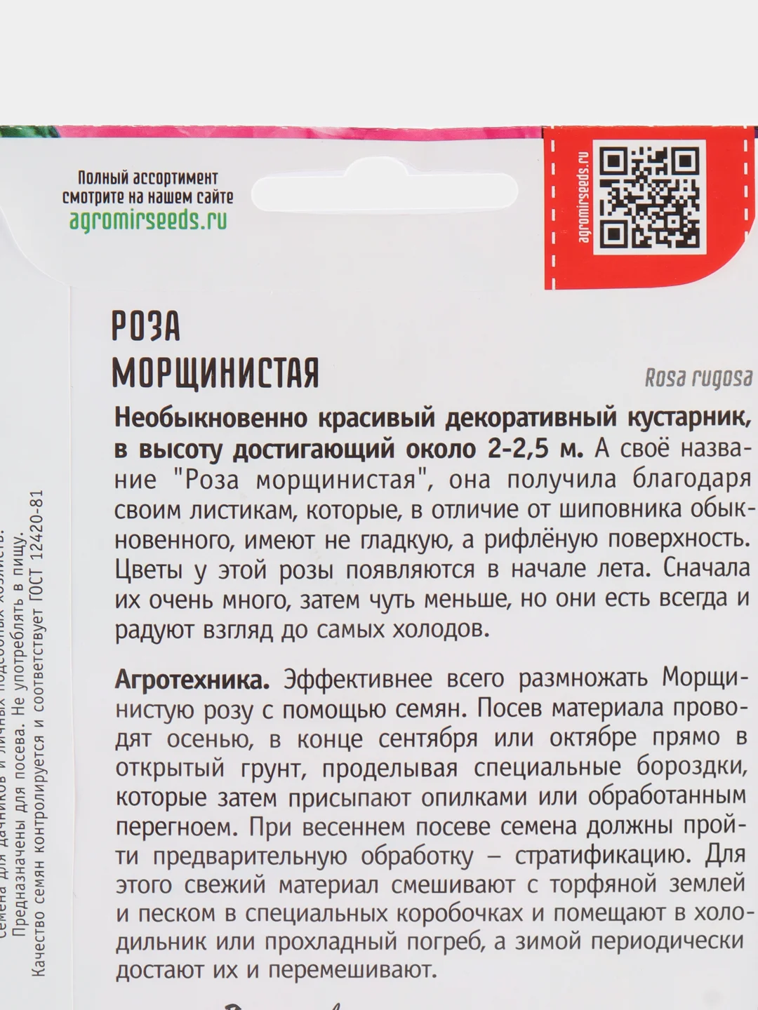 Роза Морщинистая (семена,цветы)