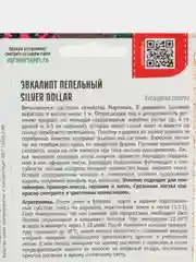 Эвкалипт пепельный Silver Dollar (семена,цветы)