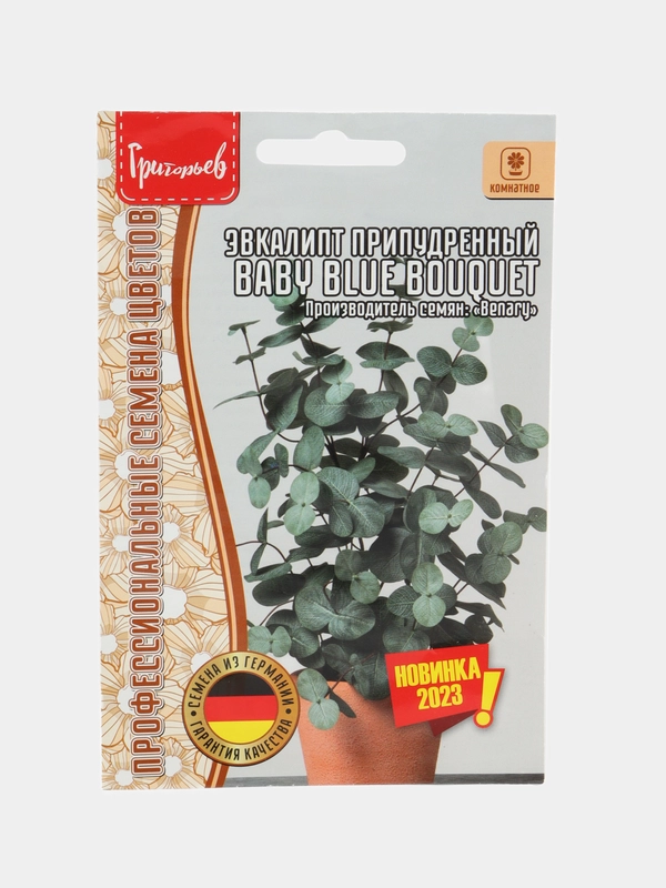 Эвкалипт припудренный Baby Blue Bouquet (семена,цветы)