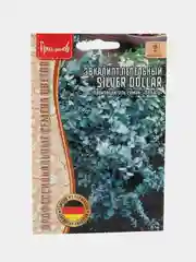 Эвкалипт пепельный Silver Dollar (семена,цветы)