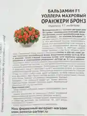 Бальзамин F1 Уоллера махровый Оранжери Бронз партнер (семена,цветы)