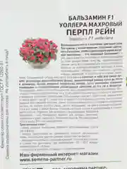 Бальзамин F1 Уоллера махровый Перпл Рейн партнер (семена,цветы)