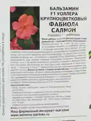 Бальзамин F1 Уоллера крупноцветковый Фабиола Салмон партнер (семена,цветы)