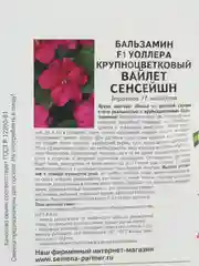 Партнер Бальзамин Уоллера F1 крупноцветковый ВАЙЛЕТ СЕНСЕЙШН партнер (семена,цветы)