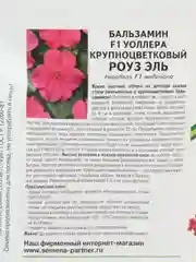 Бальзамин F1 Уоллера крупноцветковый Роуз Эль партнер (семена,цветы)