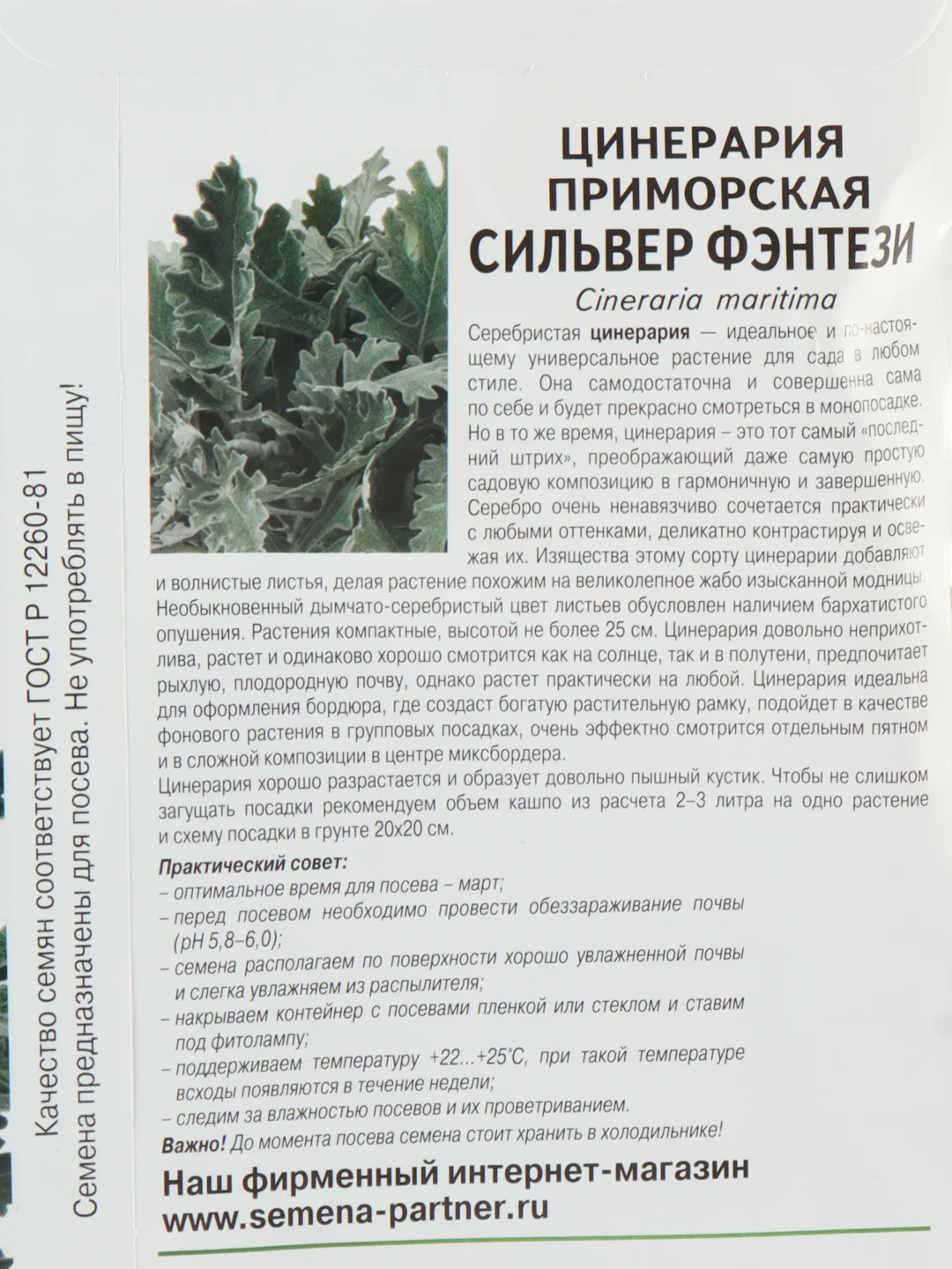 Цинерария Сильвер фэнтези партнер (семена,цветы)