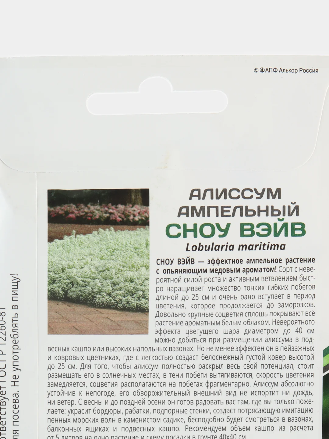 Алиссум Сноу вэйв партнер (семена,цветы)
