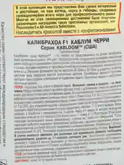 Калибрахоа Каблум Черри F1 (семена,цветы)