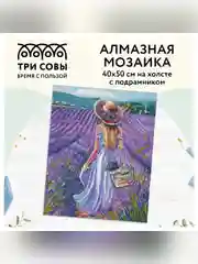 Алмазная мозаика Три совы "Прованс", холст на деревянном подрамнике, 40х50 см