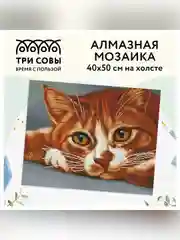 Алмазная мозаика Три совы "Рыжик", холст, картонная коробка с пластиковой ручкой, 40х50 см