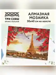 Алмазная мозаика Три совы "Париж", холст, картонная коробка с пластиковой ручкой, 30х40 см