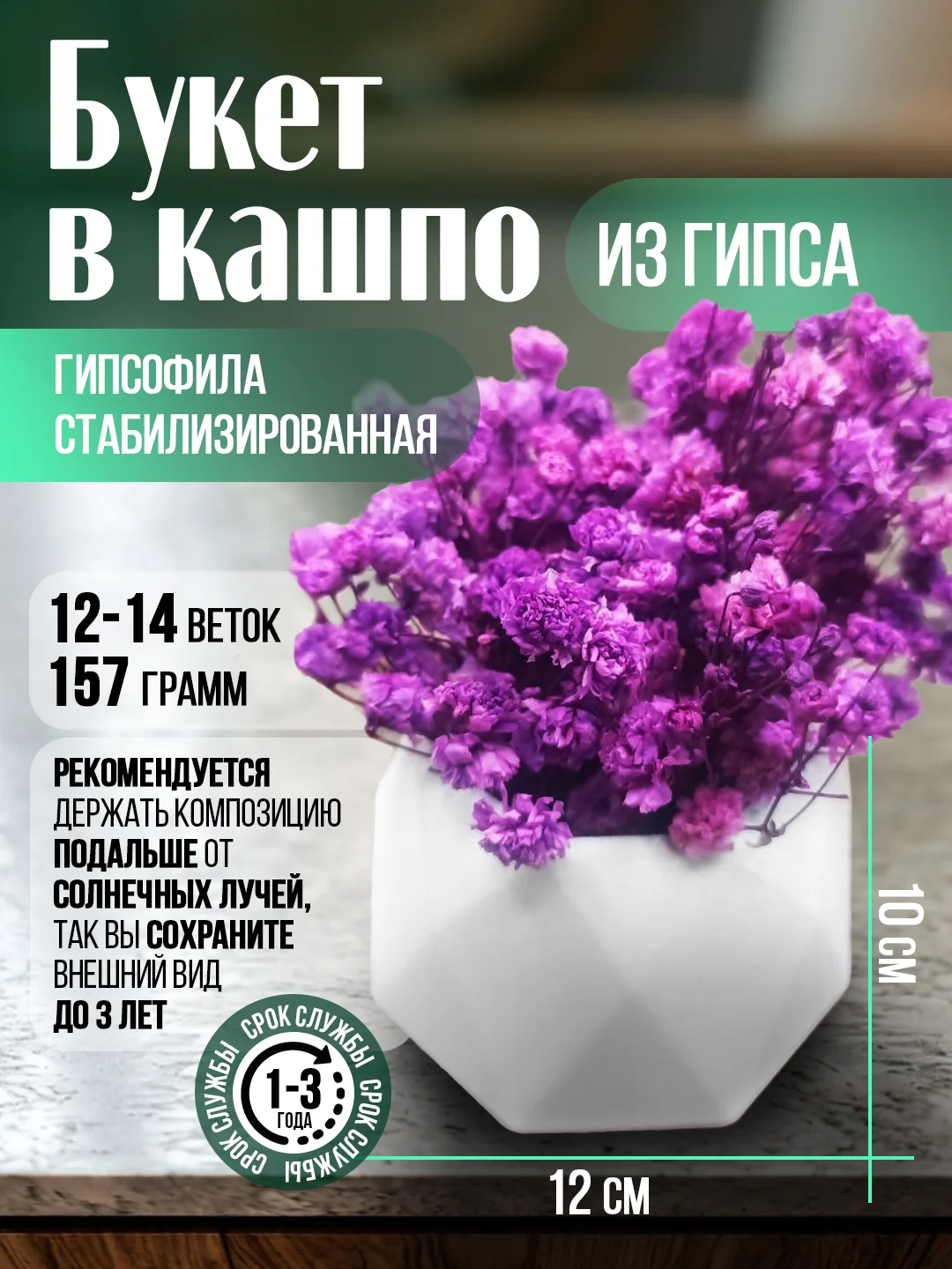 Фиолетовый гипсофила стабилизированная, букет из гипсофилы в кашпо