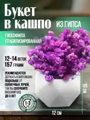 Фиолетовый гипсофила стабилизированная, букет из гипсофилы в кашпо