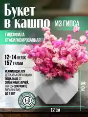 Розовый гипсофила стабилизированная, букет из гипсофилы в кашпо