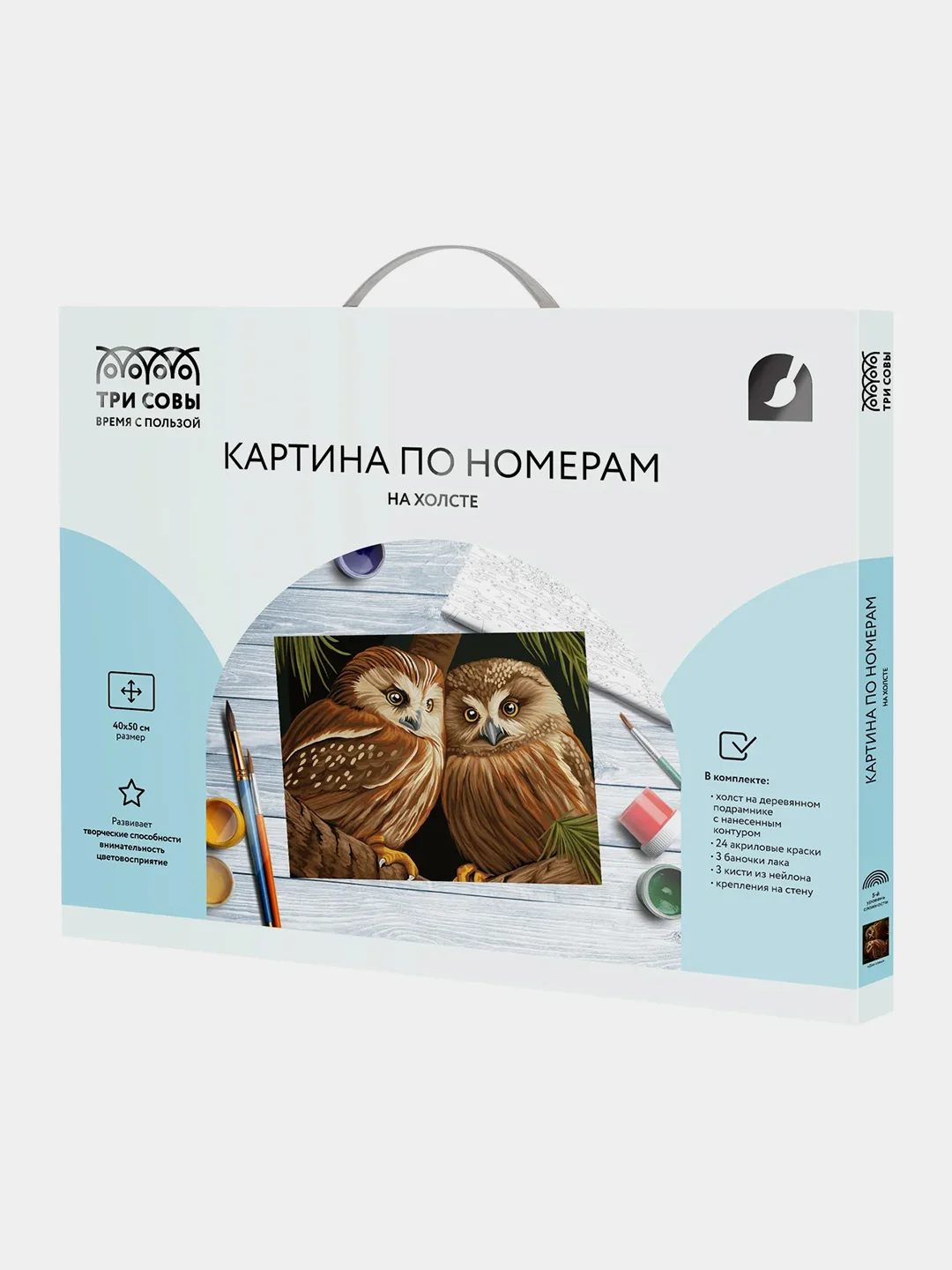 Картина по номерам на холсте ТРИ СОВЫ "Две совы", с красками и кистями, 40х50 см