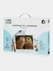 Картина по номерам на холсте ТРИ СОВЫ "Две совы", с красками и кистями, 40х50 см