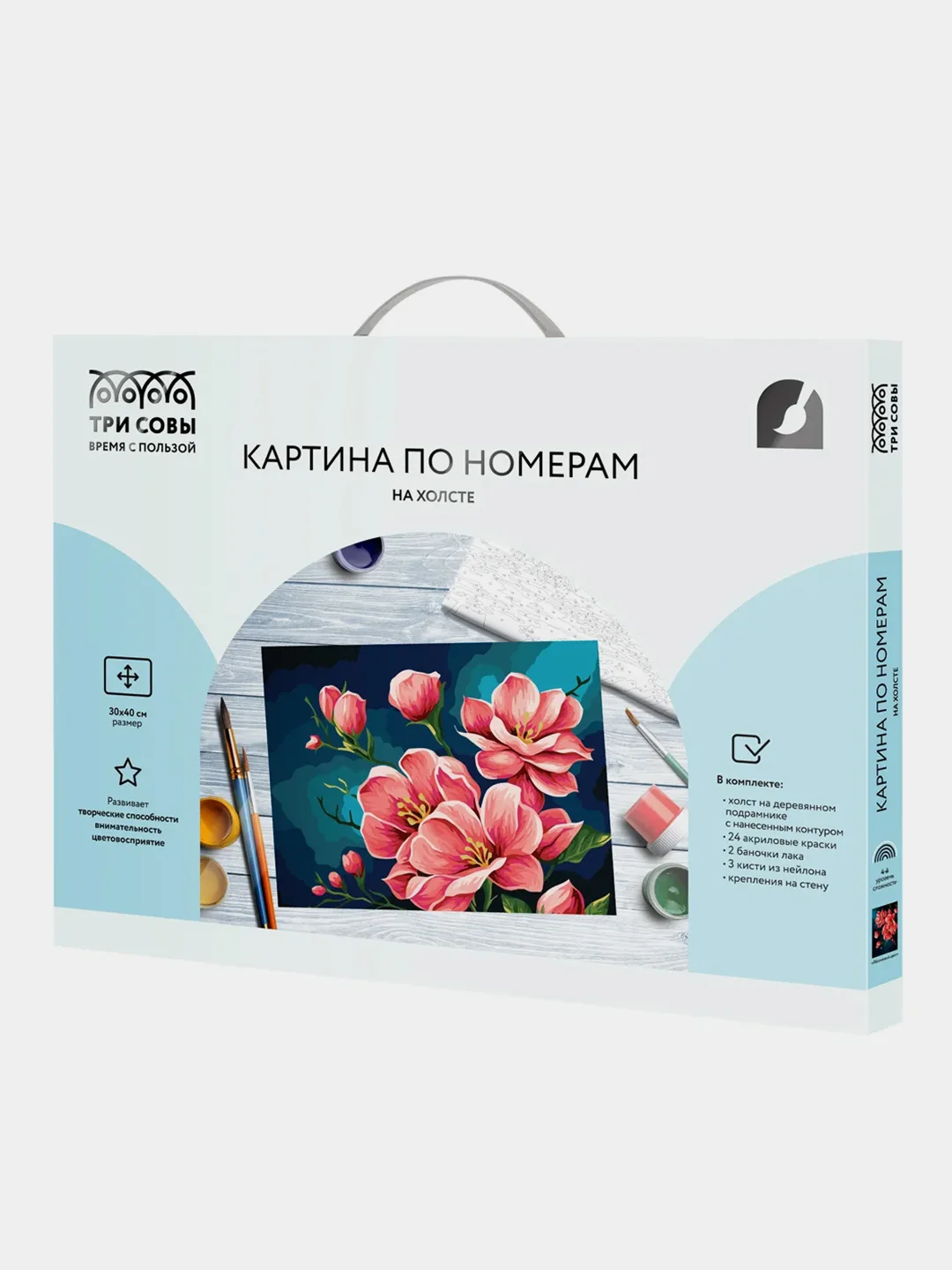 Картина по номерам на холсте ТРИ СОВЫ "Яблоневый цвет", 30х40 см, с красками и кистями