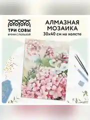 Алмазная мозаика ТРИ СОВЫ "Флоксы", 30х40см, холст, картонная коробка с пластиковой ручкой