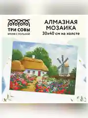 Алмазная мозаика ТРИ СОВЫ "Хутор", 30х40 см, холст, картонная коробка с пластиковой ручкой