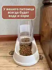 Бежевый автокормушка и автопоилка для кошек и собак, миска для животных, 1,5 л