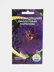 Семена цветов Цинния изящная "Фиолетовая королева", 0,2 г (10256629)