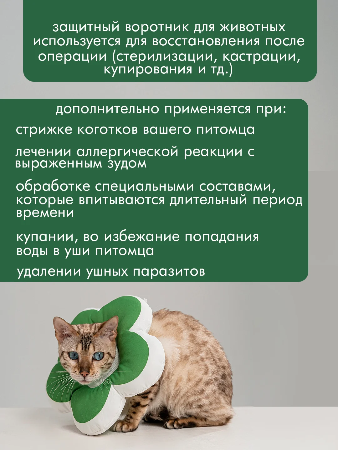 Зеленый защитный воротник для кошек и собак, ветеринарный, мягкий