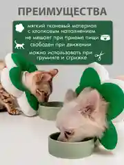 Зеленый защитный воротник для кошек и собак, ветеринарный, мягкий