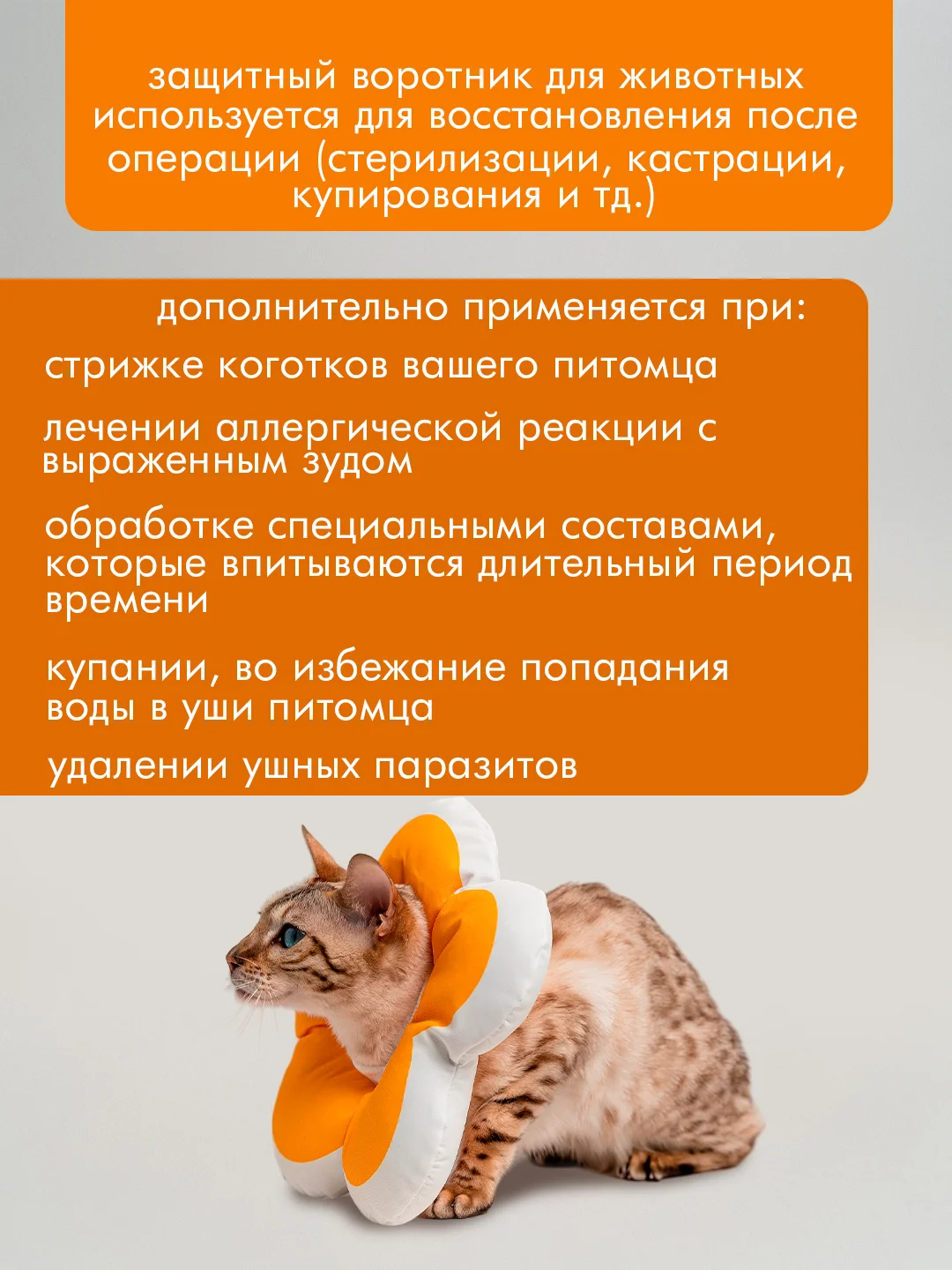 Голубой защитный воротник для кошек и собак, ветеринарный, мягкий