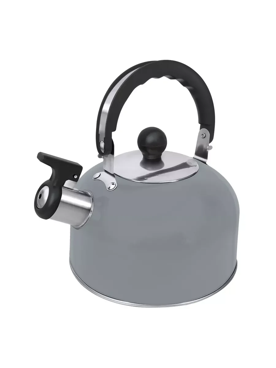Серый металлик чайник со свистком HOME ELEMENT HE-WK1603B, светло-серый матовый