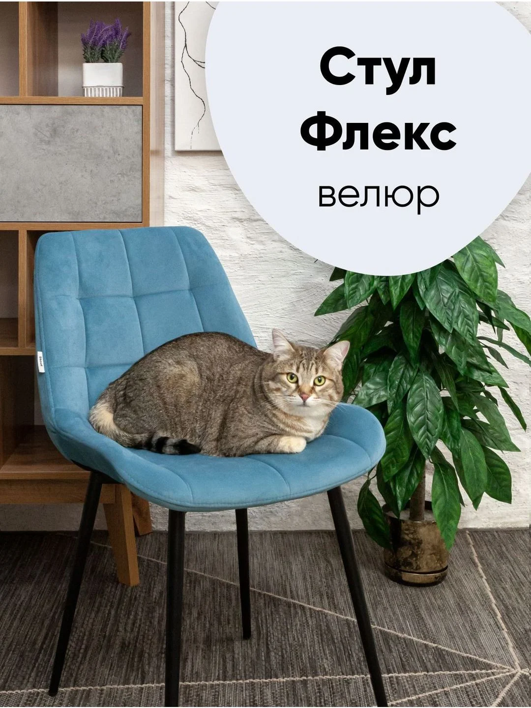 Стул для кухни обеденный Флекс
