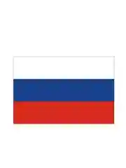 Наклейка на автомобиль. Флаг России, размер 10*15см