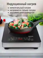 Черный электрическая индукционная безимпульсная плитка STINGRAY ST-HP3506A сталь