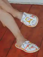 Белый тапочки домашние мужские, корги