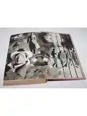 Книга Евгений Воробьев " Этьен и его тень"
