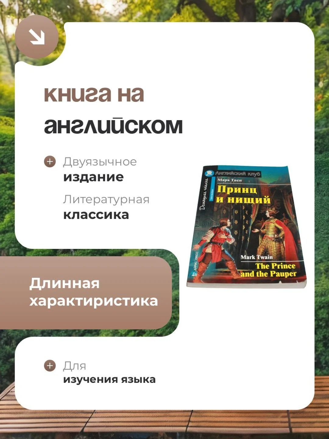 Книга на английском языке "Принц и нищий"