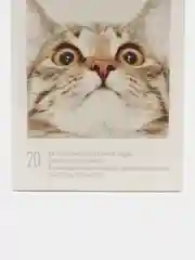 Фотобумага  Mi Xiaomi Portable Photo Printer Paper 20 листов для печати (TEJ4019GL