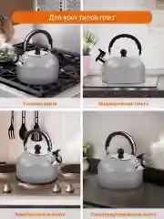 Серый чайник со свистком HOME ELEMENT HE-WK1602, 2л, нерж. сталь, светло-серый матовый