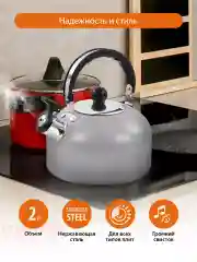 Серый чайник со свистком HOME ELEMENT HE-WK1602, 2л, нерж. сталь, светло-серый матовый