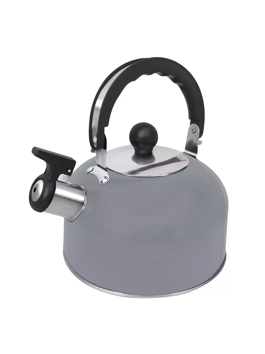 Серый чайник со свистком HOME ELEMENT HE-WK1602, 2л, нерж. сталь, светло-серый матовый
