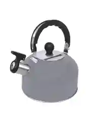 Серый чайник со свистком HOME ELEMENT HE-WK1602, 2л, нерж. сталь, светло-серый матовый