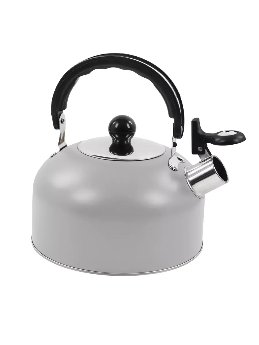 Серый чайник со свистком HOME ELEMENT HE-WK1602, 2л, нерж. сталь, светло-серый матовый