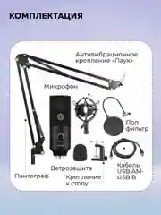 Черный конденсаторный студийный USB-микрофон FIFINE T669 со стойкой и поп-фильтром