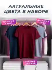 Бордовый футболка хлопок набор 3 шт
