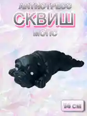 Черный сквиш
