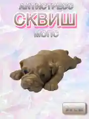 Коричневый сквиш