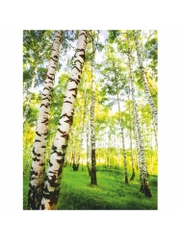 Фотообои бумажные Симфония "В берёзках", 200х140 см