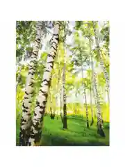 Фотообои бумажные Симфония "В берёзках", 200х140 см