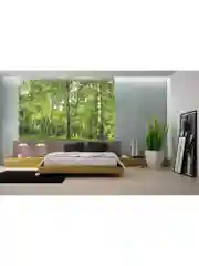 Фотообои бумажные Симфония "Берёзовая роща", 280х200 см